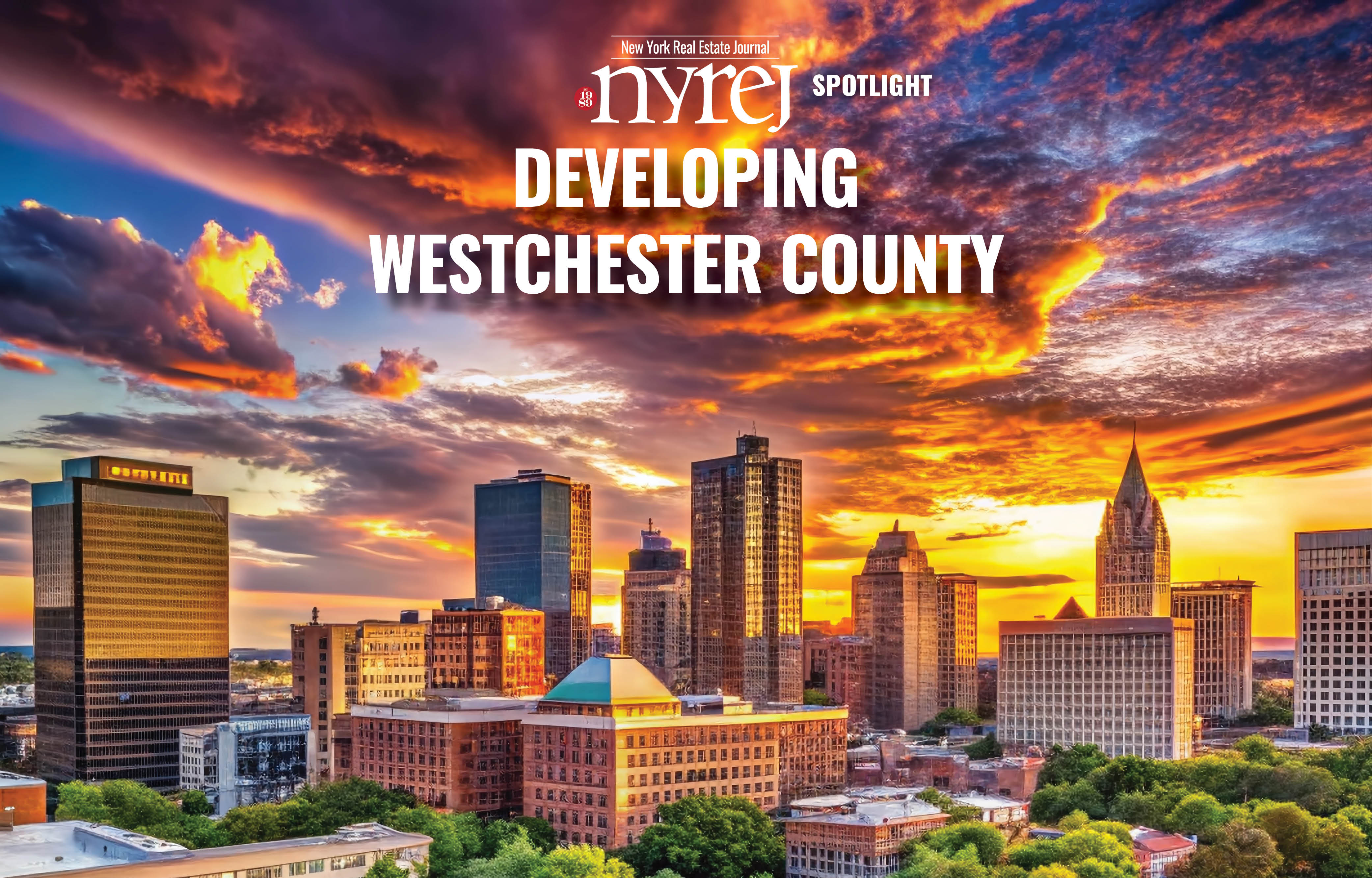 Participate in Developing New York Featuring Westchester County - November 24, 2026